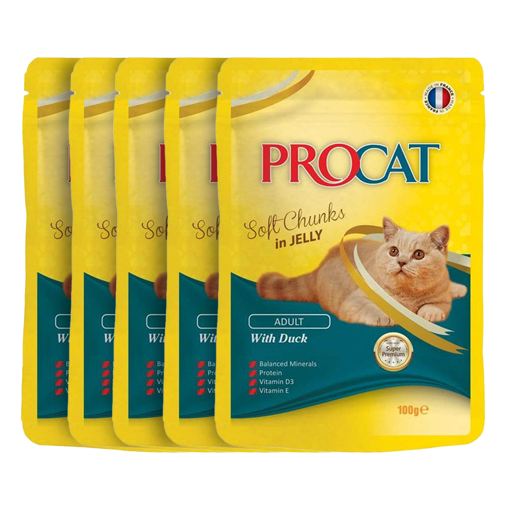 PROCAT Soft chunks in jelly with Flavors 100 gm
