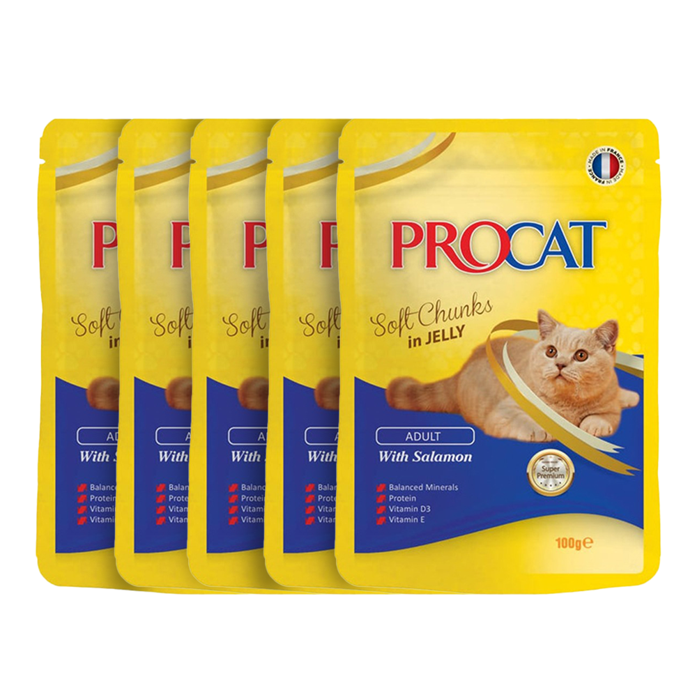 PROCAT Soft chunks in jelly with Flavors 100 gm