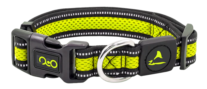 DOCO® Athletica Air Dog Collar