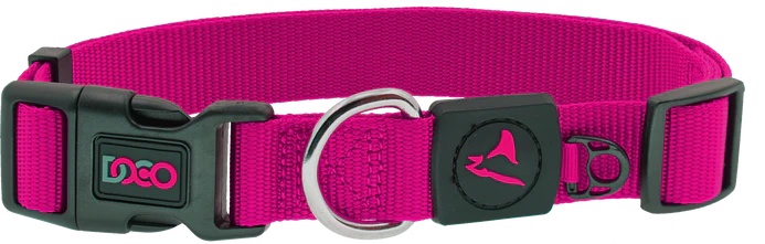 DOCO® Signature Nylon Dog Collar