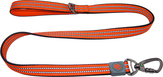 DOCO® VARIO Nylon Dog Leash with Reflective Thread 6ft