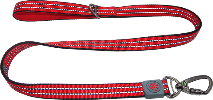 DOCO® VARIO Nylon Dog Leash with Reflective Thread 6ft