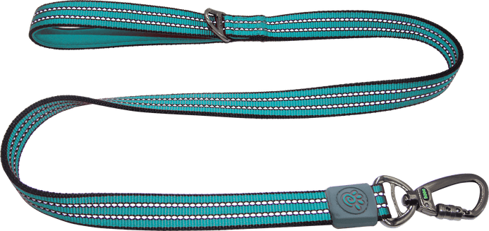 DOCO® VARIO Nylon Dog Leash with Reflective Thread 6ft