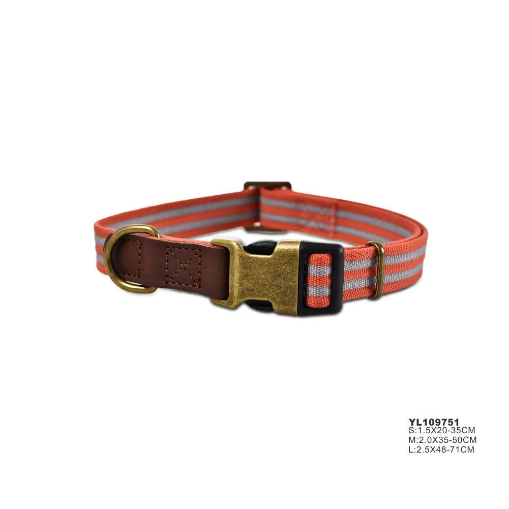 NAOMI FASHION DOG COLLAR