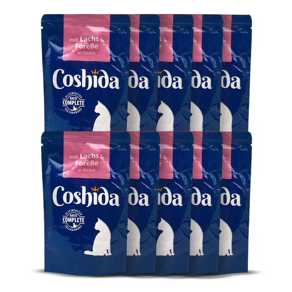 Coshida Wet Food In Jelly Pouch For Adult CATS 100 gm with salmon and trout