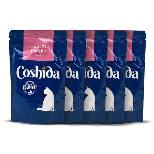 Coshida Wet Food In Jelly Pouch For Adult CATS 100 gm with salmon and trout