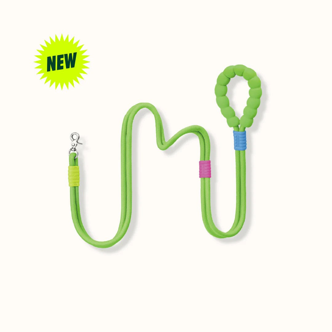 bubble leash & harness in colours