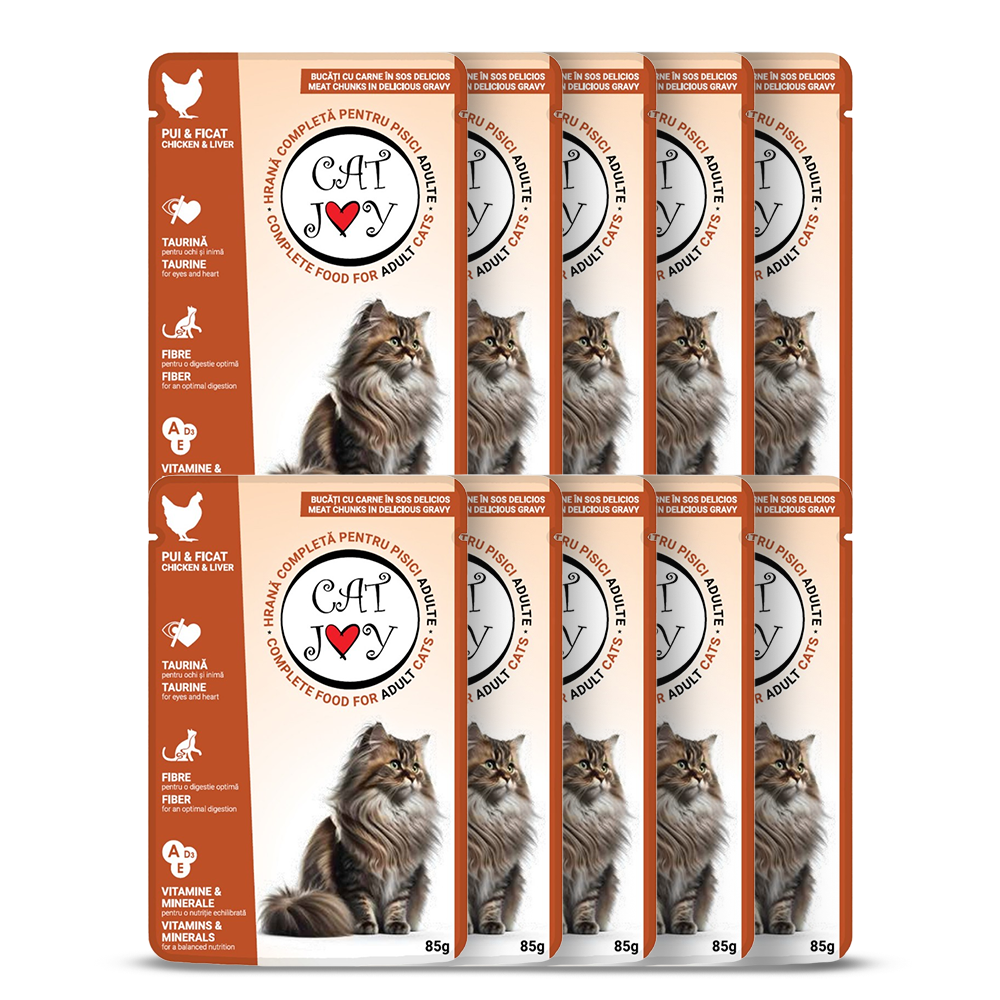 Cat Joy with chicken and liver in gravy 85g