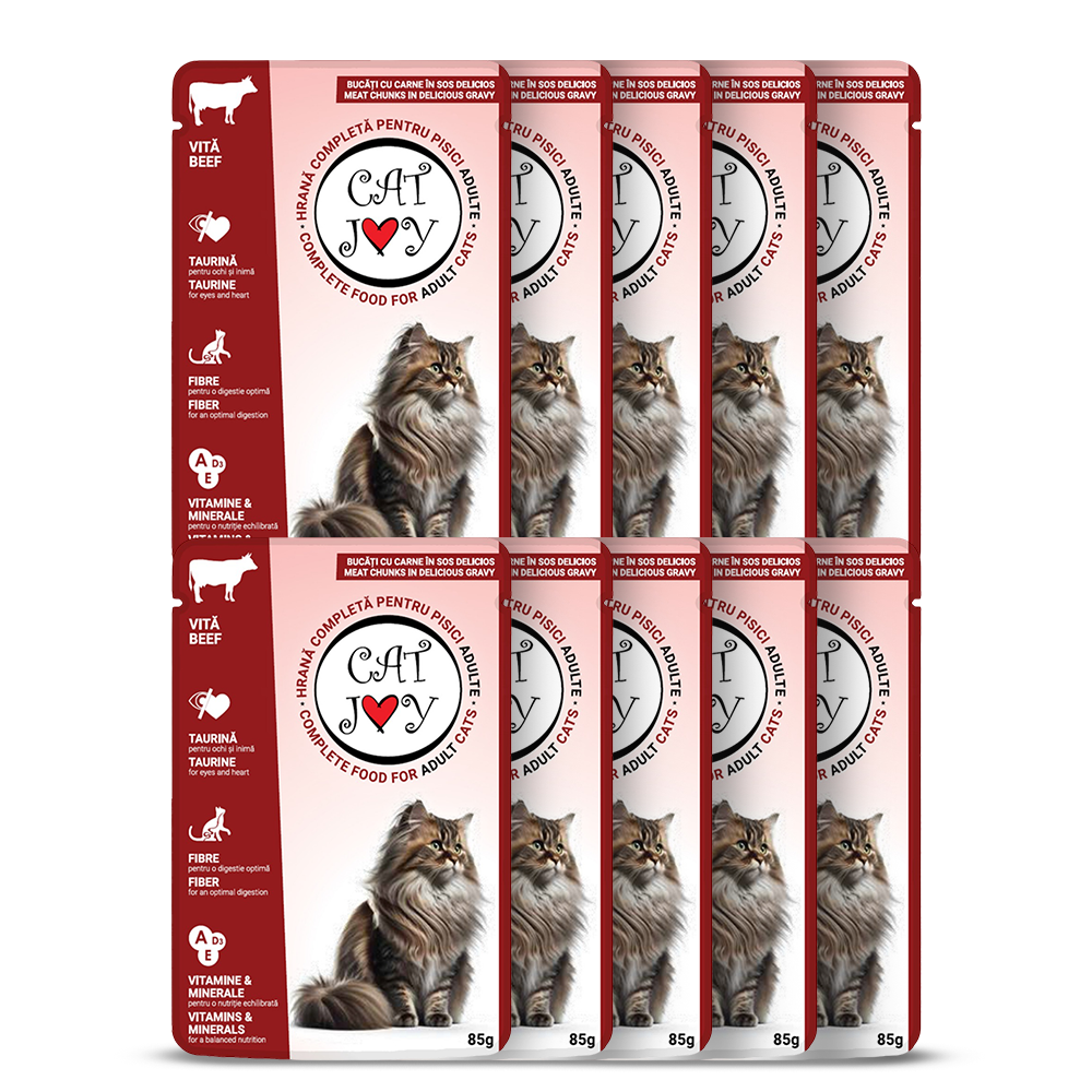 Cat Joy with beef in gravy 85g