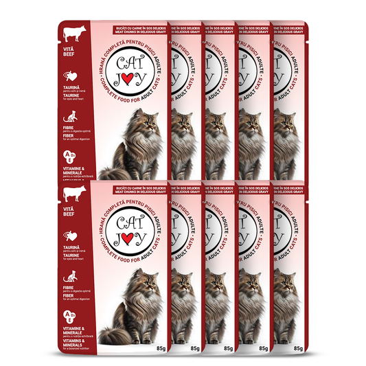Cat Joy with beef in gravy 85g