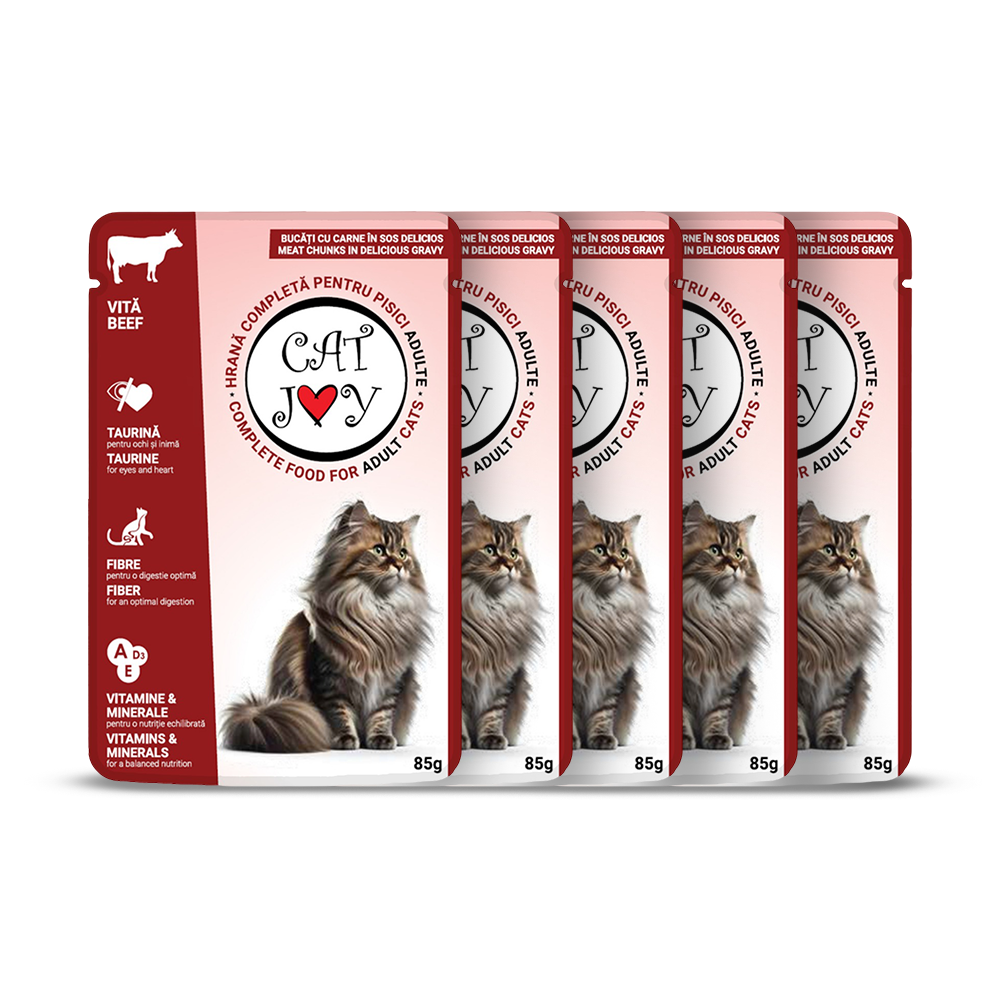 Cat Joy with beef in gravy 85g