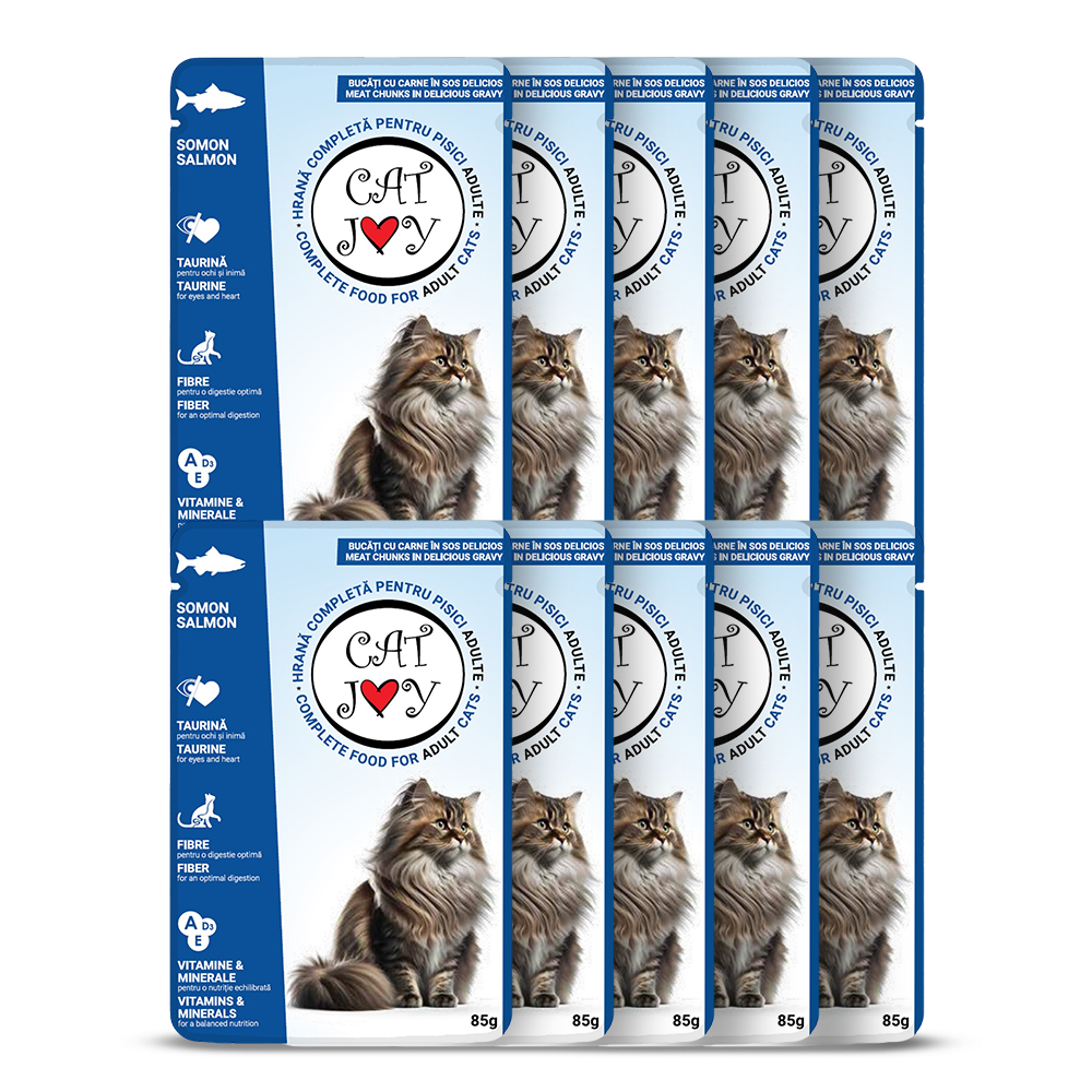 Cat Joy with salmon in gravy 85g