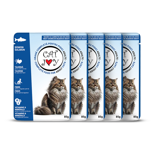 Cat Joy with salmon in gravy 85g