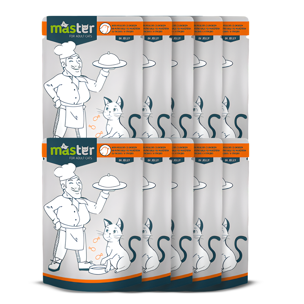 Master Wet Food with Flavors in Jelly for Adult Cats 80 gr