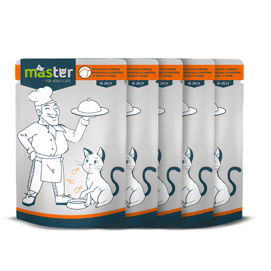Master Wet Food with Flavors in Jelly for Adult Cats 80 gr
