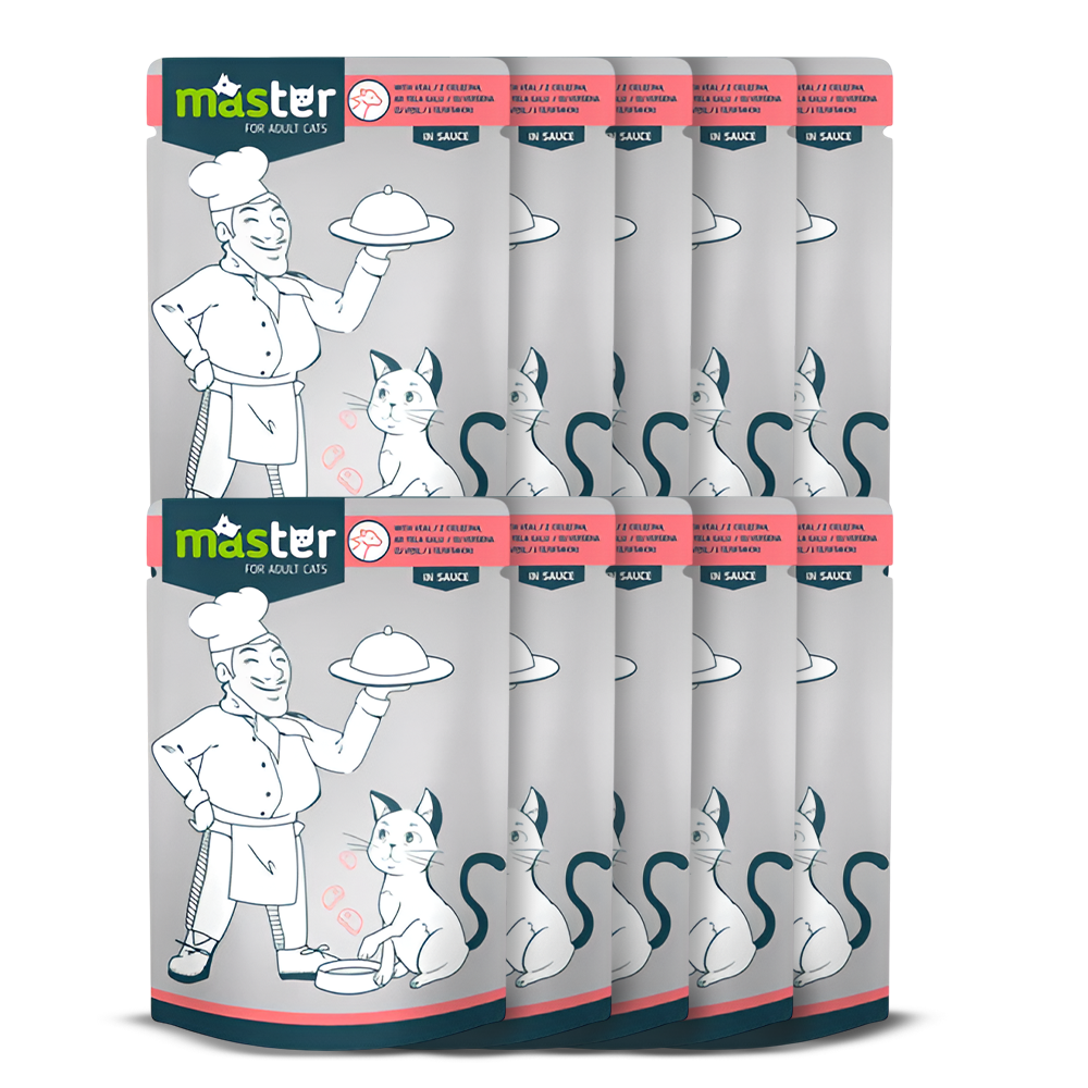 Master Wet Food with Flavors in Jelly for Adult Cats 80 gr