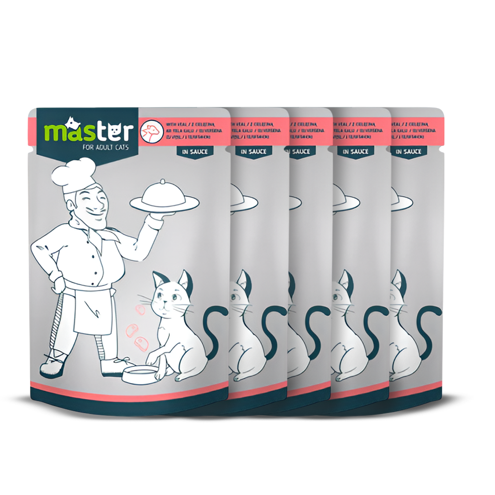 Master Wet Food with Flavors in Jelly for Adult Cats 80 gr