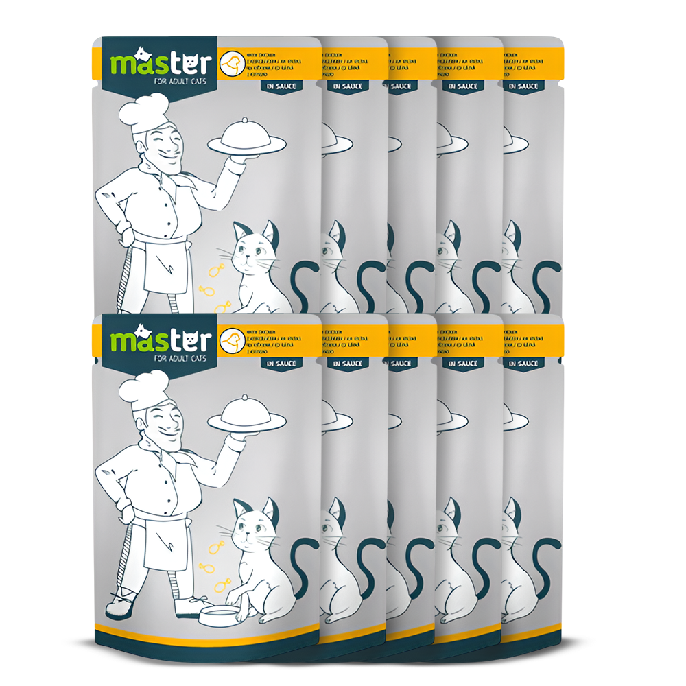 Master Wet Food with Flavors in Jelly for Adult Cats 80 gr
