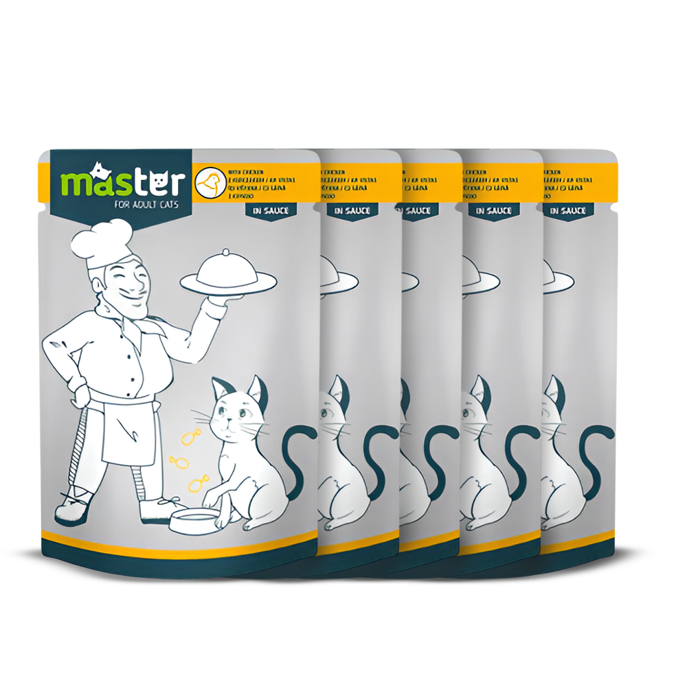Master Wet Food with Flavors in Jelly for Adult Cats 80 gr