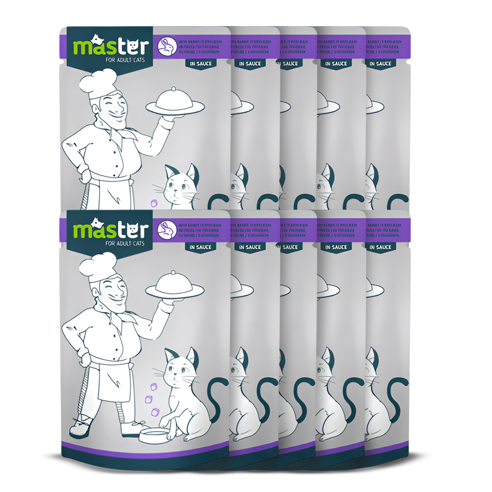 Master Wet Food with Flavors in Jelly for Adult Cats 80 gr