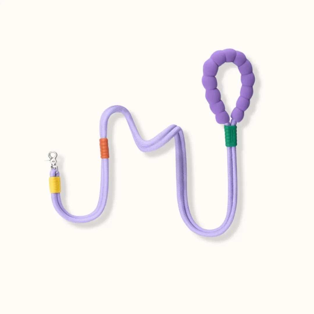 bubble leash & harness in colours