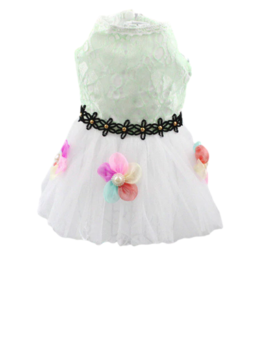 Elegant White Pet Dress with Floral Accents, Sizes, for Dogs and Cats