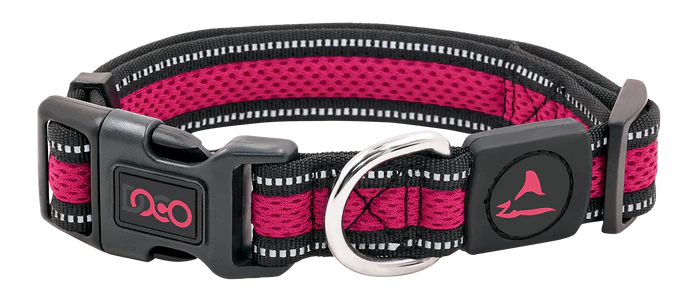 DOCO® Athletica Air Dog Collar