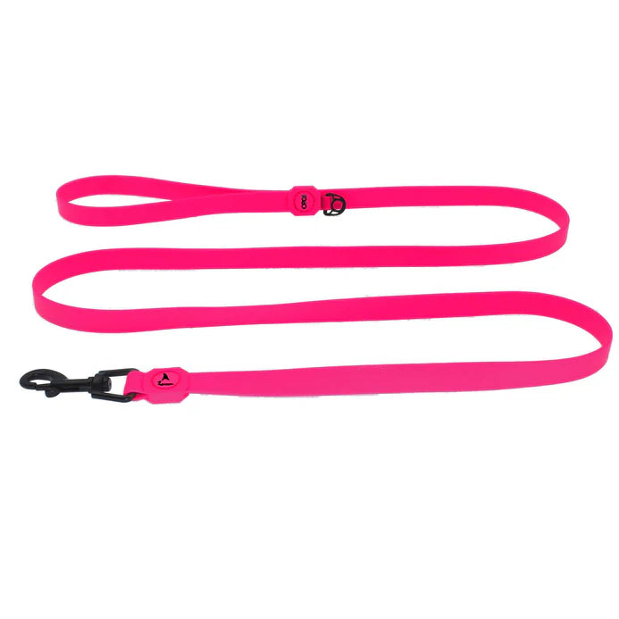DOCO® Jelly Bean Nylon Dog Leash 6ft