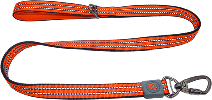 DOCO® VARIO Nylon Dog Leash with Reflective Thread 6ft