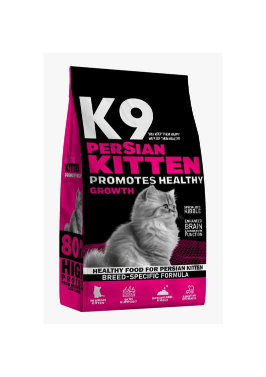 K9 Persian Kitten