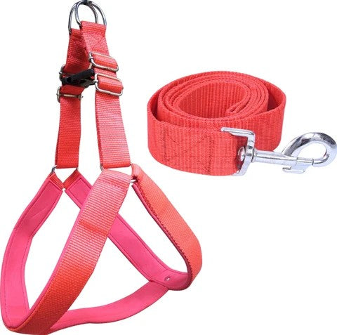 Dog Harness and Leash Set, Padded Nylon, Red