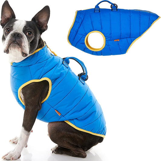Dog Padded Vest Winter Jacket, Blue with Yellow Trim, Sizes
