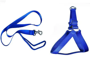 blue dog leash & harness