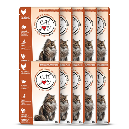 Cat Joy with chicken and liver in gravy 85g