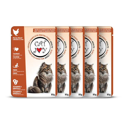Cat Joy with chicken and liver in gravy 85g