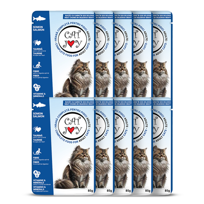 Cat Joy with salmon in gravy 85g