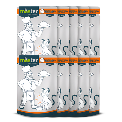 Master Wet Food with Flavors in Jelly for Adult Cats 80 gr